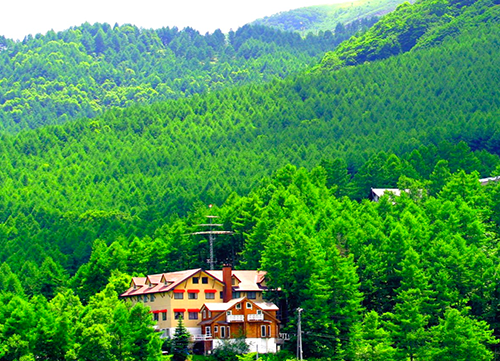 Hotel Andermatt